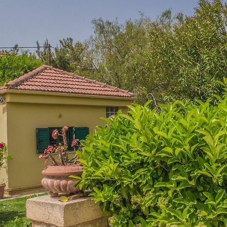 Sylvia'S Guest House Kavrokhorion 外观 照片